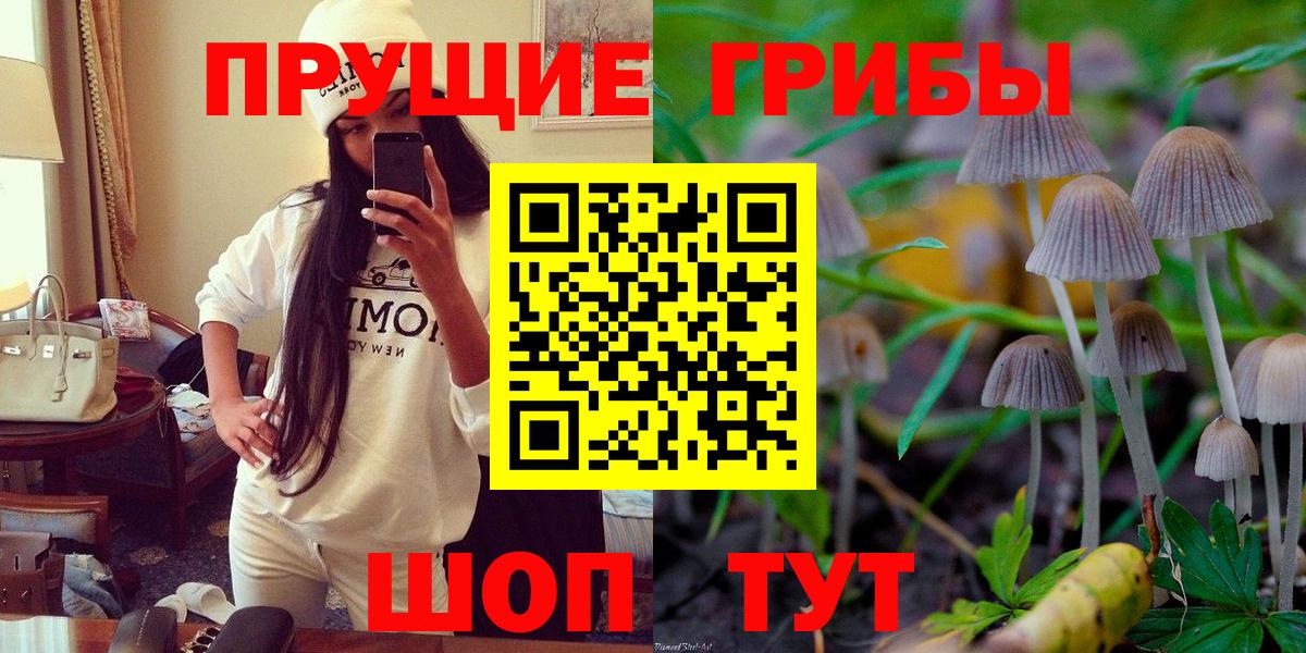 Псилоцибиновые грибы мицелий Донецк